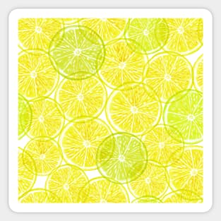 Lemon lime transparent slice print. Vibrant summer watercolor pencil illustration. Translucent yellow citrus fruits Sticker